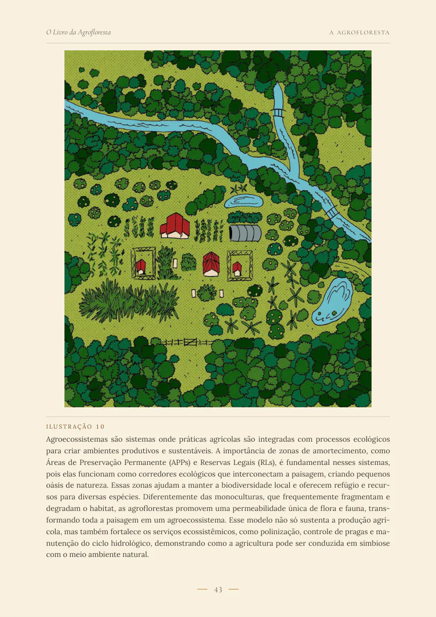 Ilustração de uma paisagem com agroflorestas, rio e áreas de preservação vista de cima.