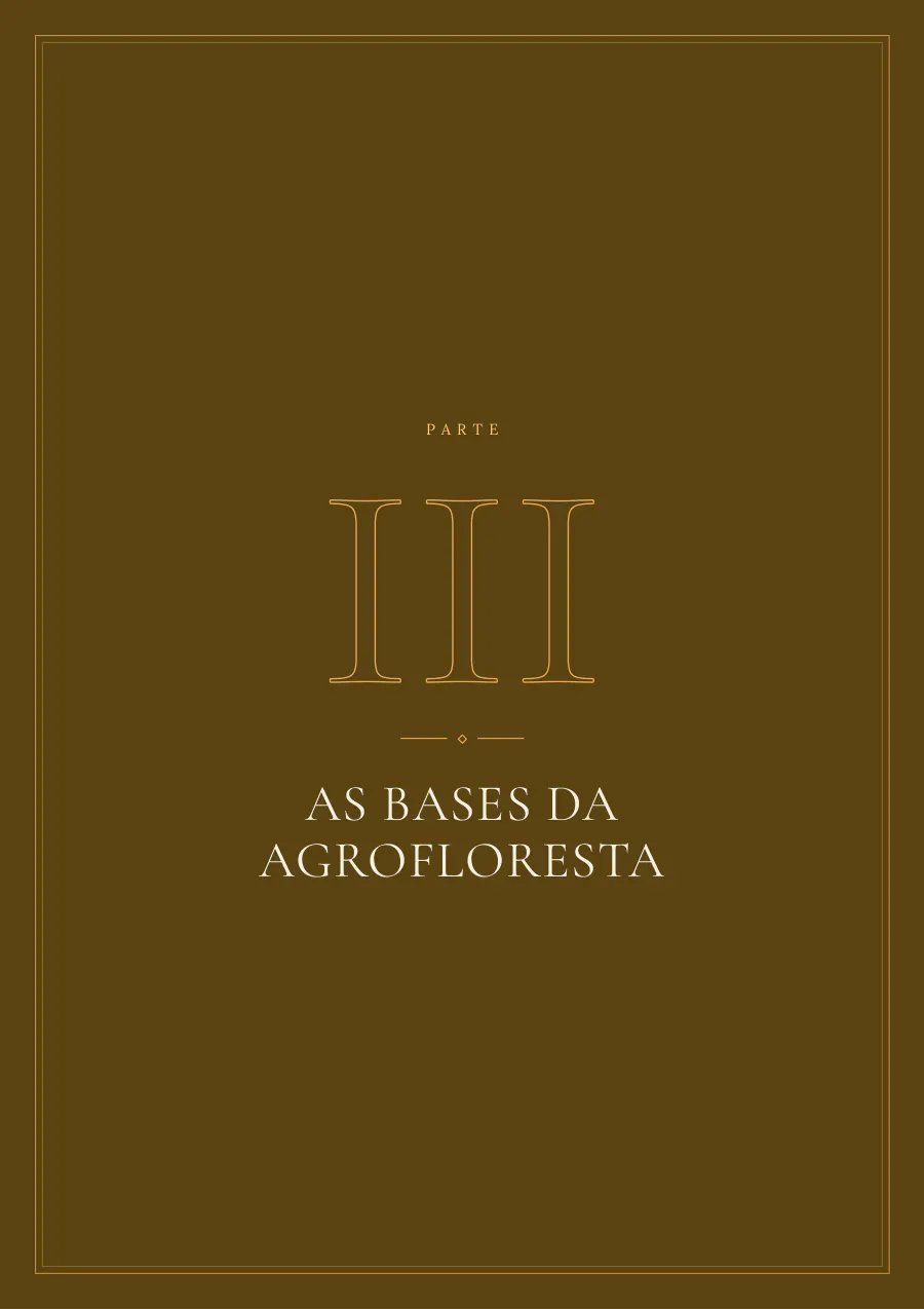 Abertura da Parte III: As bases da agrofloresta.