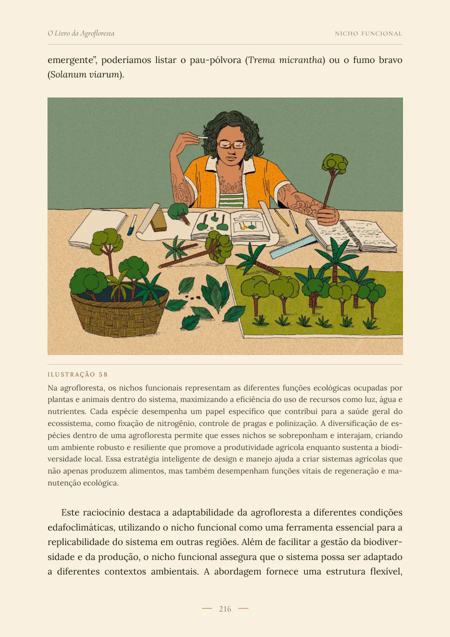 Ilustração do capítulo Nicho funcional: uma projetista organiza mudas por função.