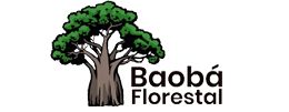 Baobá Florestal